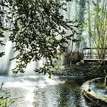 Les Jardins D'epicure Bray-et-Lû